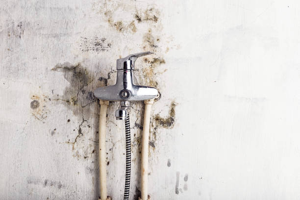 Best Mold Removal Company Near Me  in Mechanicsville, VA