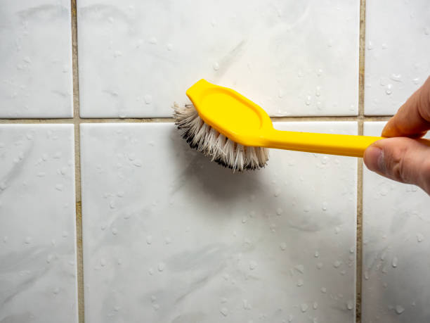 Best Office Mold Removal Services  in Mechanicsville, VA