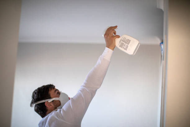 Best Black Mold Removal  in Mechanicsville, VA