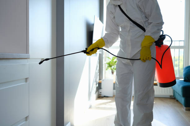 Attic Mold Removal in Mechanicsville, VA