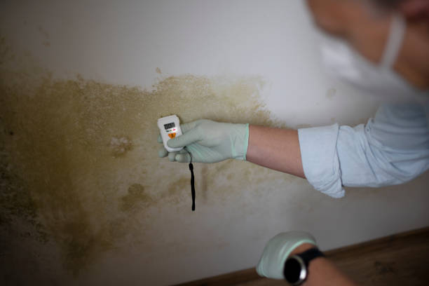 Water Damage Restoration in Mechanicsville, VA