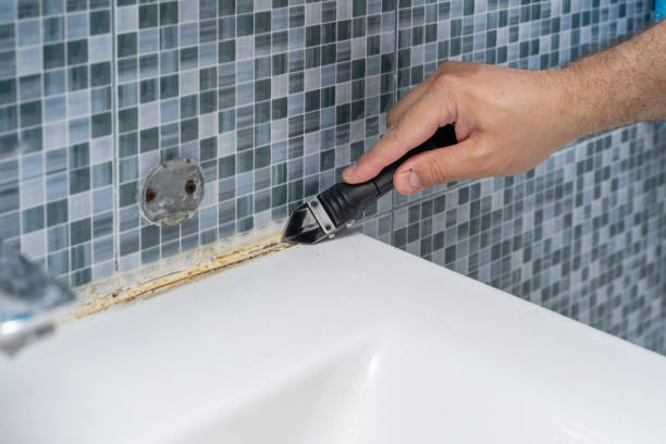 Best Affordable Mold Removal  in Mechanicsville, VA
