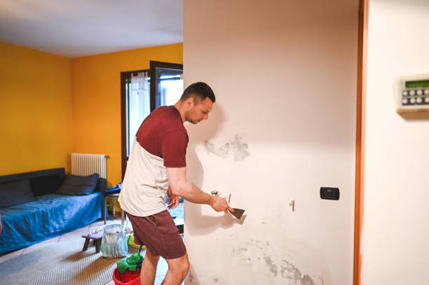 Best Best Mold Removal Companies  in Mechanicsville, VA