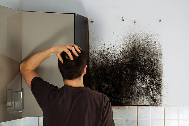 Best Fast Mold Removal  in Mechanicsville, VA